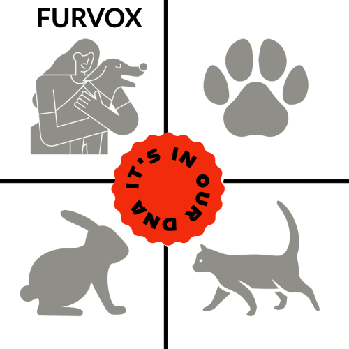 Why Choose Furvox