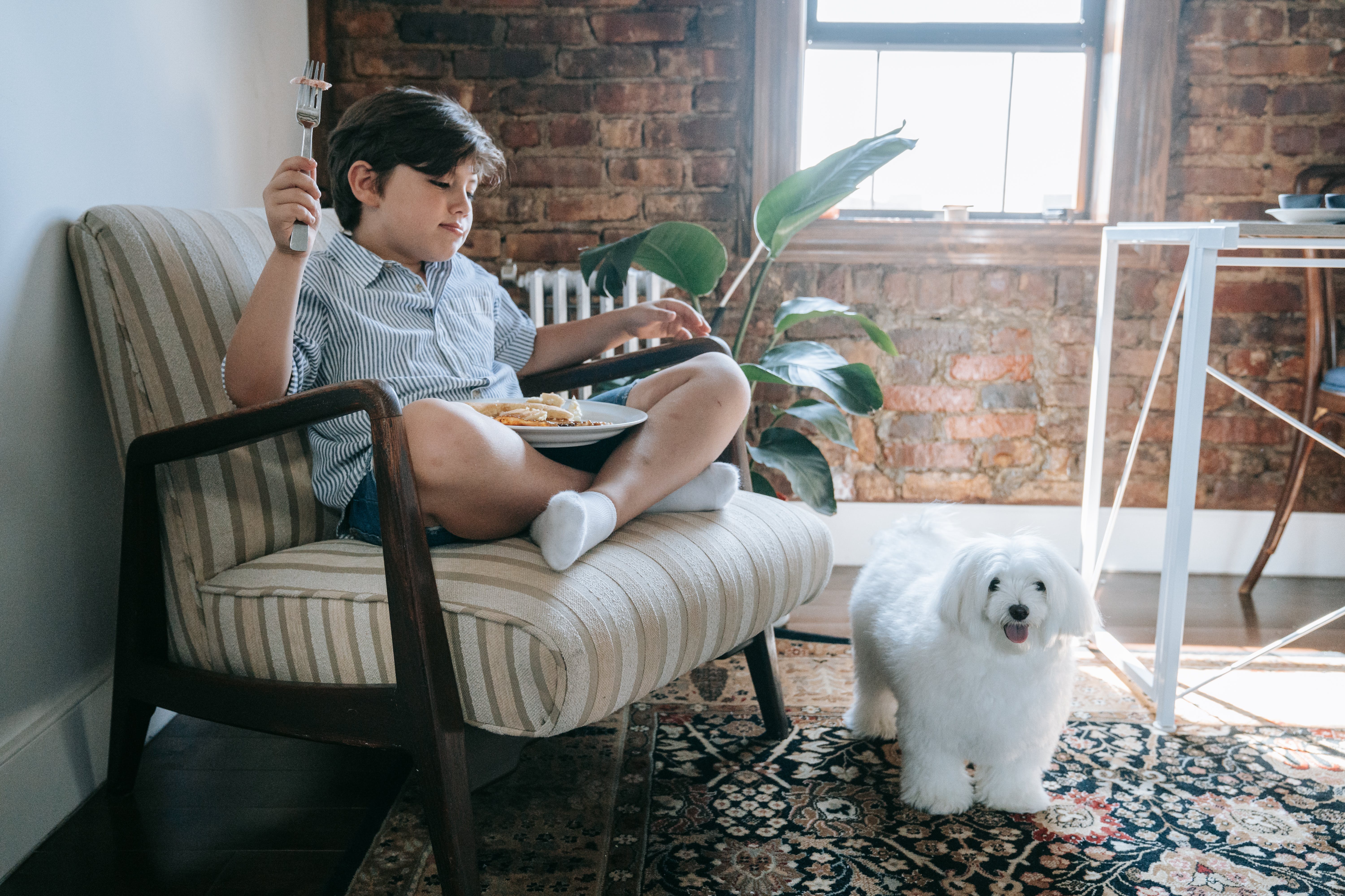 About us Human and Pet 2