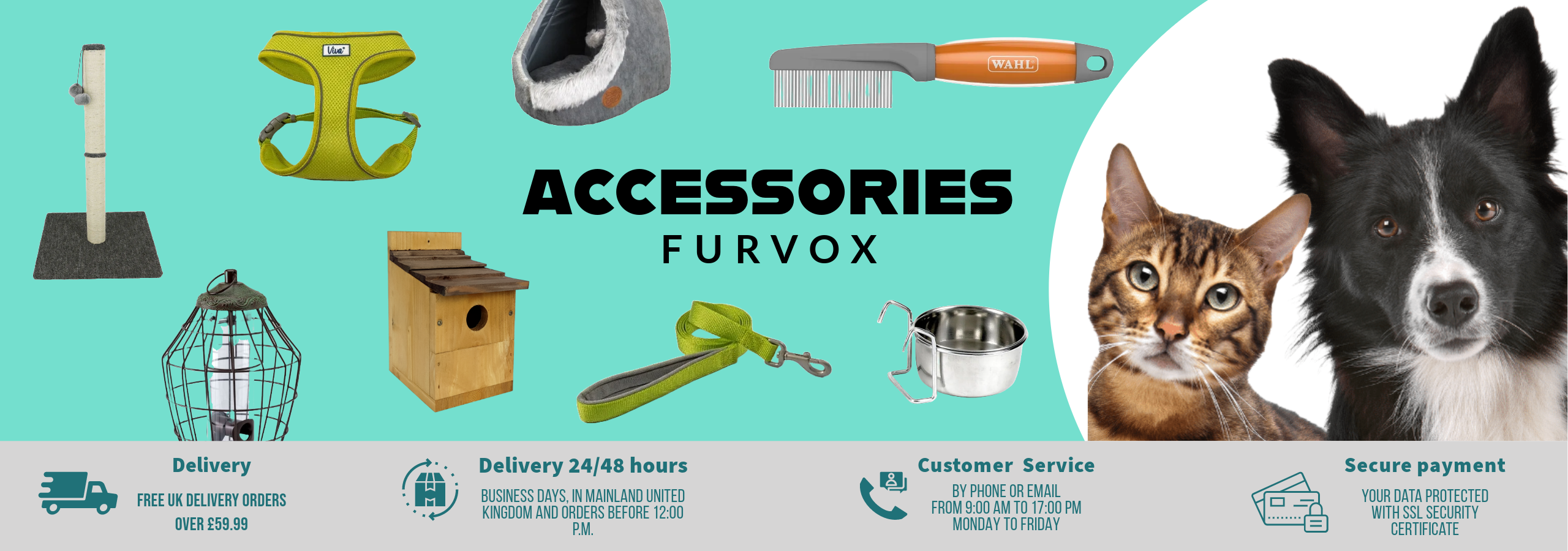 Pet Accessories Banner