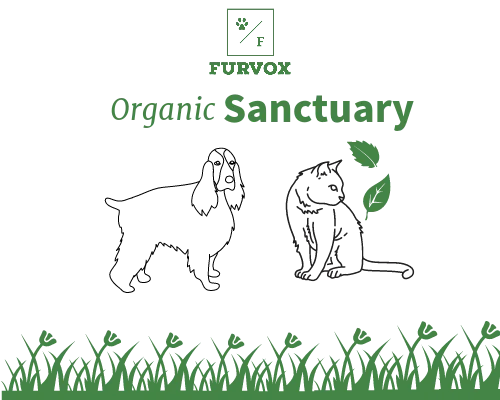 Organic Pet Food