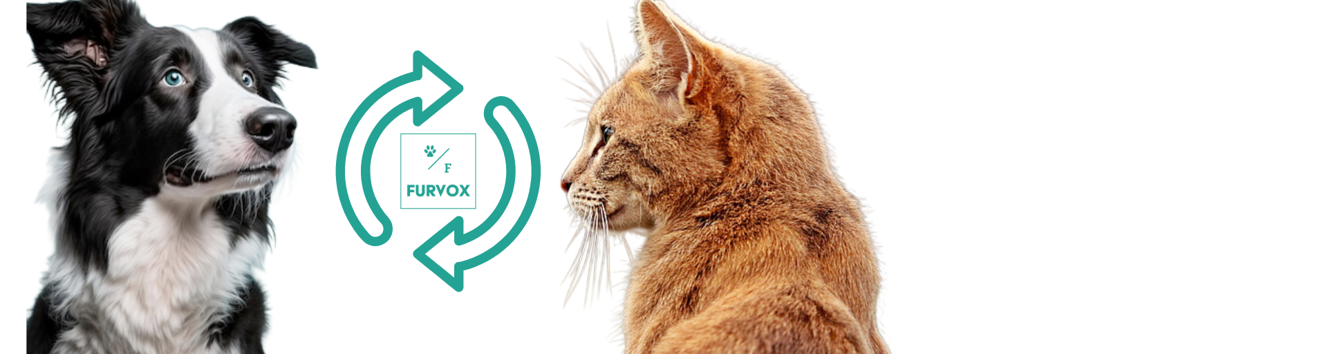 Furvox Wallpaper
